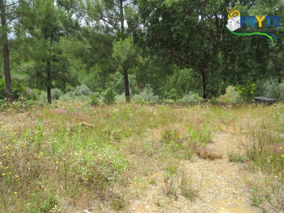 Farm i Troviscal, Castelo Branco - foto 4