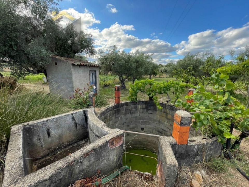 Helårsgrund i Castelo Branco, Castelo Branco - foto 1