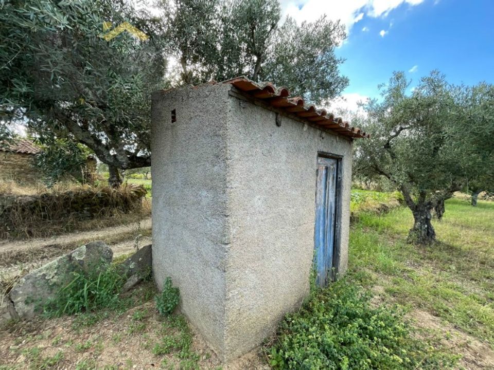 Helårsgrund i Castelo Branco, Castelo Branco - foto 4