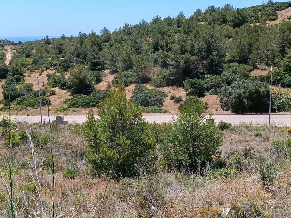 Helårsgrund i Budens, Faro - foto 2