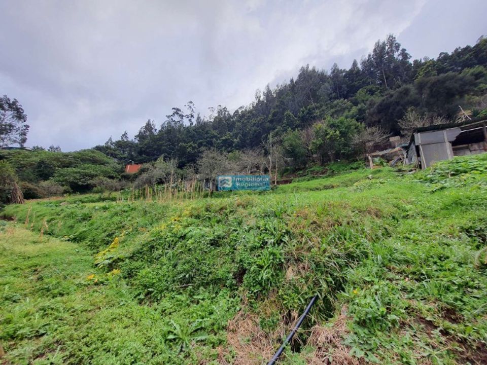 Helårsgrund i Santa Cruz, Madeira - foto 3