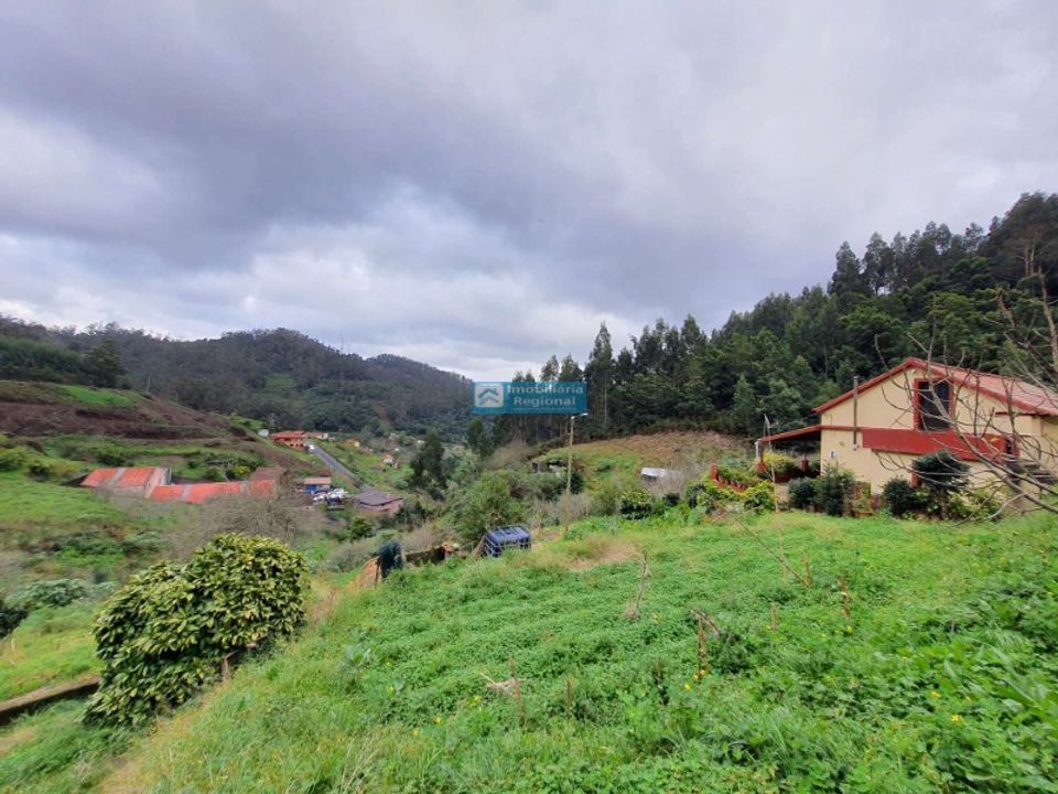 Helårsgrund i Santa Cruz, Madeira - foto 5