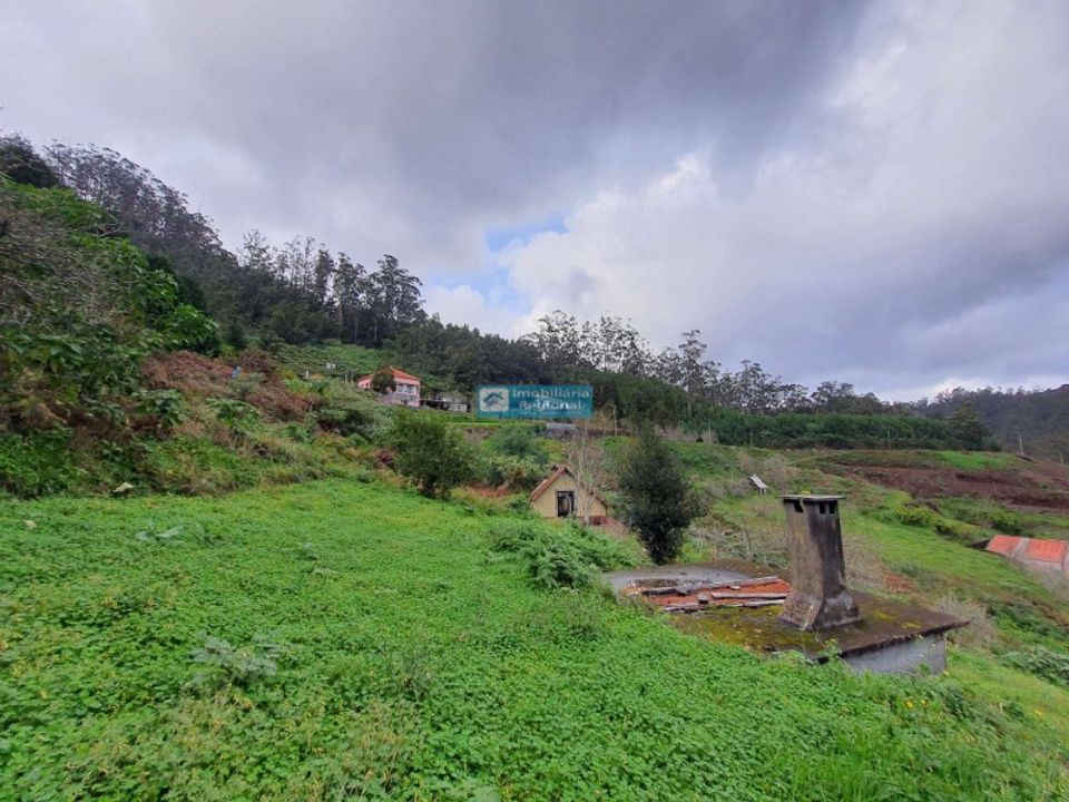 Helårsgrund i Santa Cruz, Madeira - foto 2