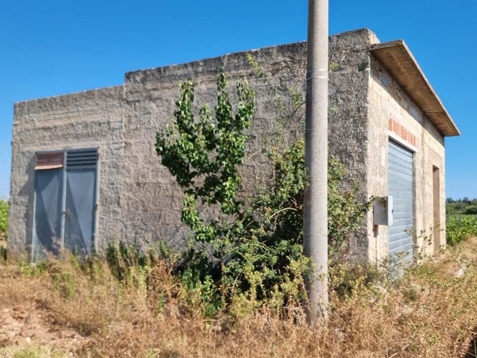 Tomt i Menfi, Agrigento - bilde 2