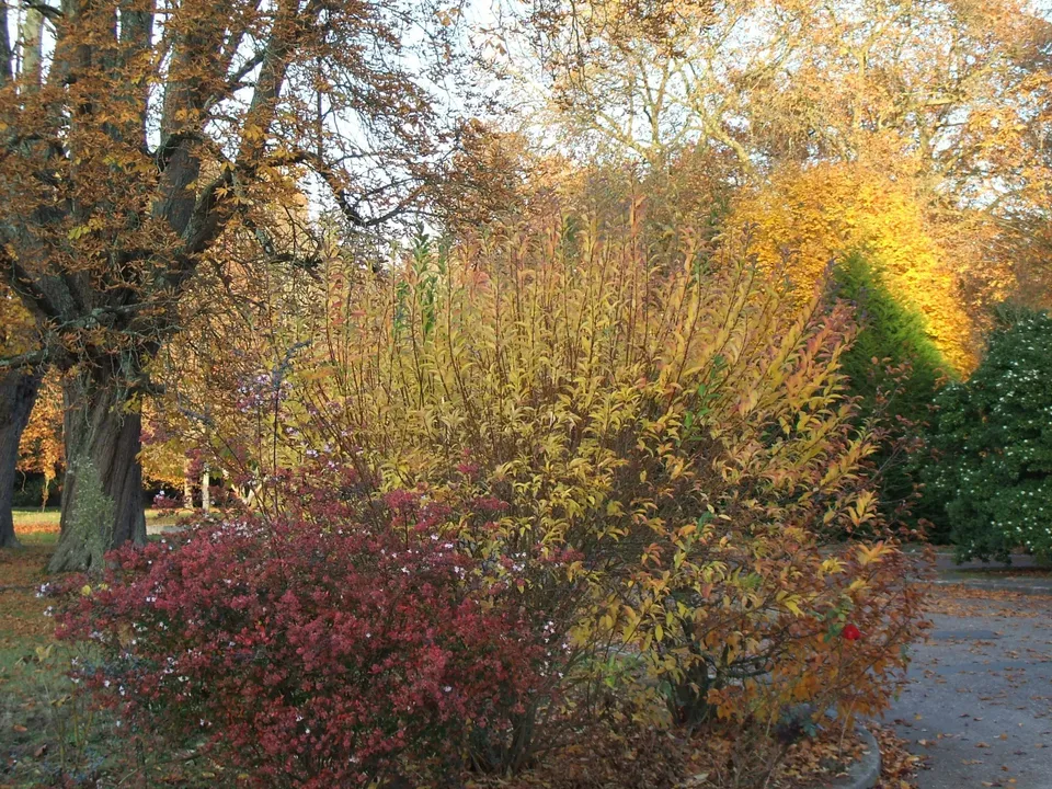 Landejendom i Saint-Biez-en-Belin, Sarthe - foto 2
