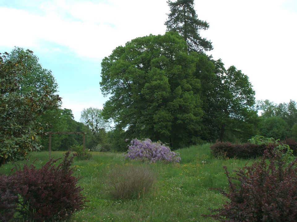 Landejendom i Saint-Biez-en-Belin, Sarthe - foto 4