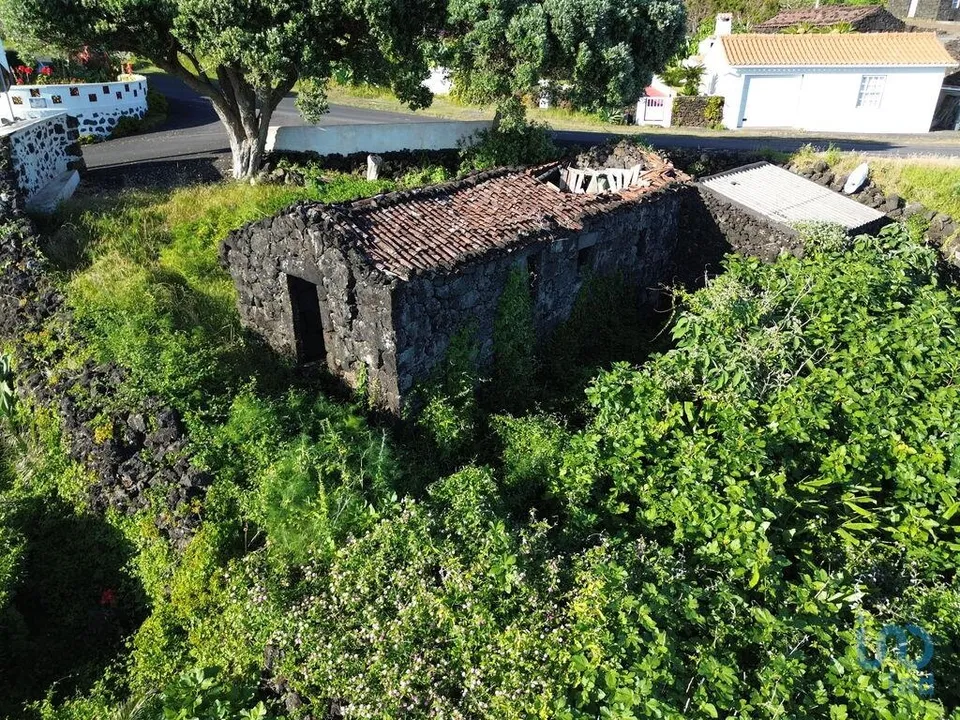 Byhus i Madalena, Pico - foto 1