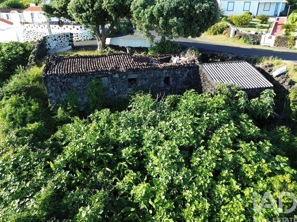 Byhus i Madalena, Pico - foto 5