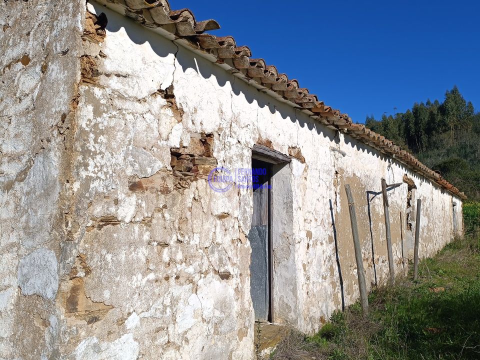 Ruin i Ourique, Beja - bilde 3