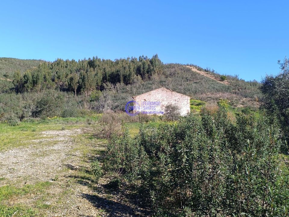 Ruin i Ourique, Beja - bilde 1