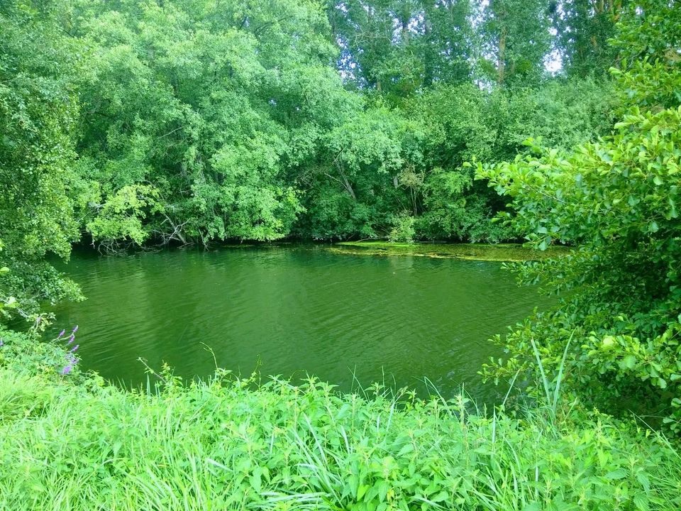 Helårsgrund i Taize-Aizie, Charente - foto 1