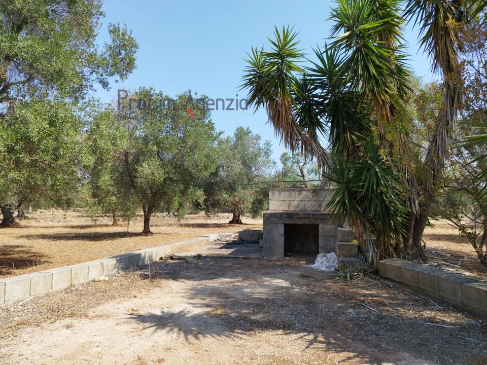 Helårsgrund i Carovigno, Brindisi - foto 2