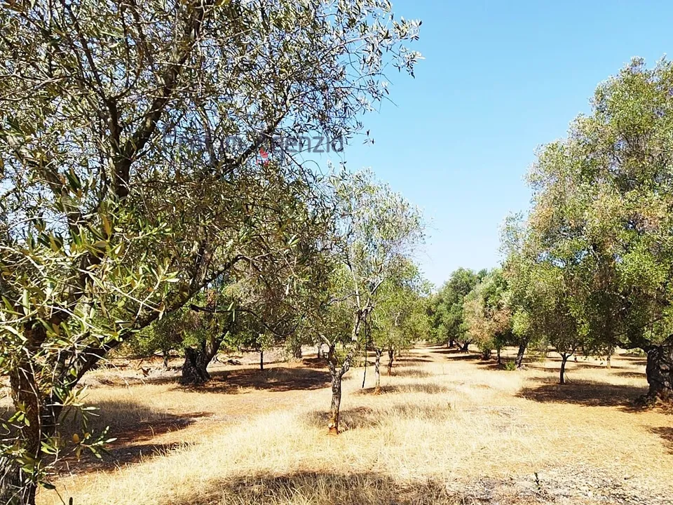 Helårsgrund i Carovigno, Brindisi - foto 3