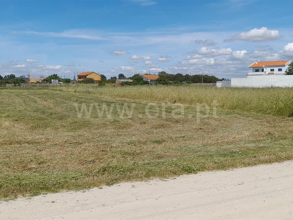 Helårsgrund i Benavente, Santarem - foto 2