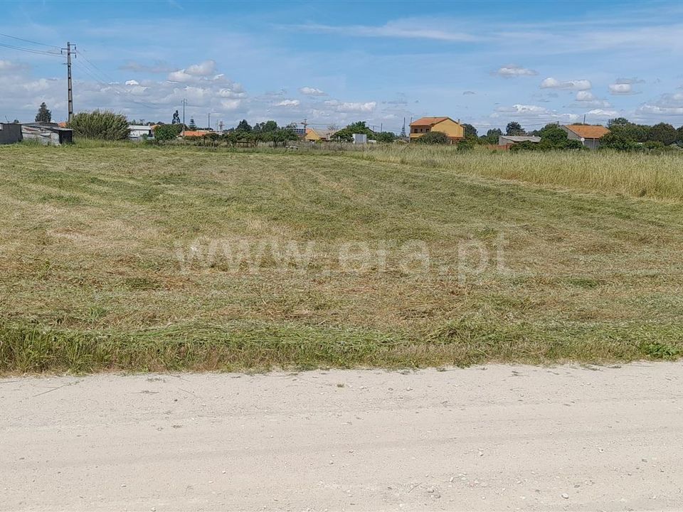 Helårsgrund i Benavente, Santarem - foto 3