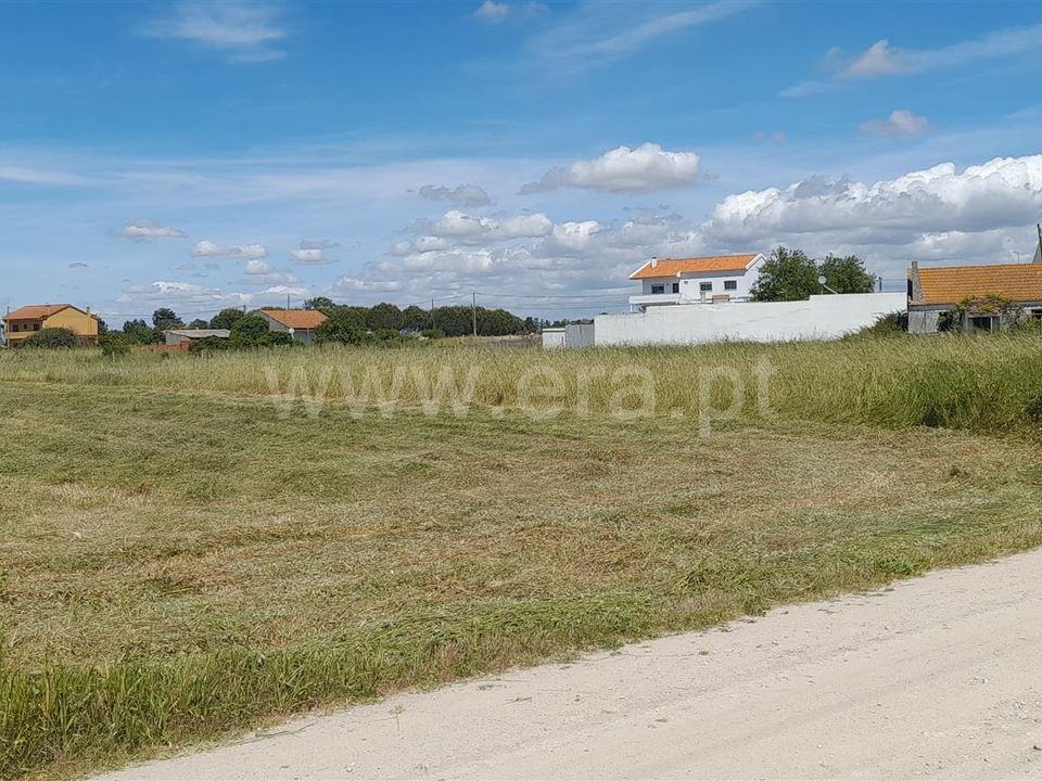 Helårsgrund i Benavente, Santarem - foto 4