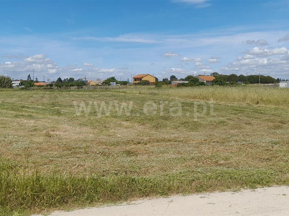 Helårsgrund i Benavente, Santarem - foto 5