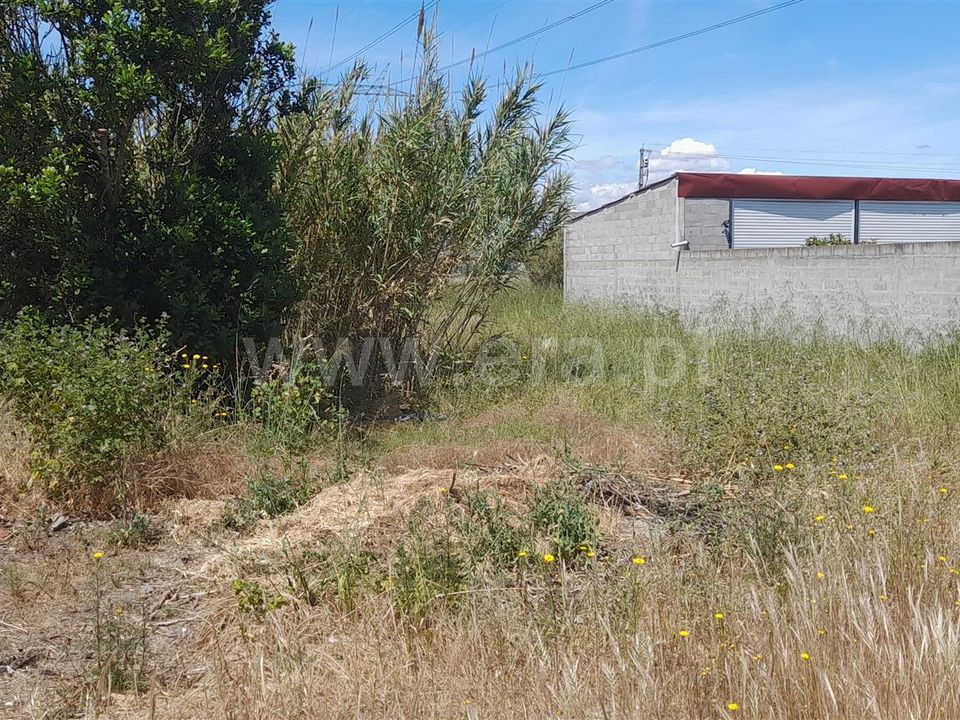 Helårsgrund i Benavente, Santarem - foto 2