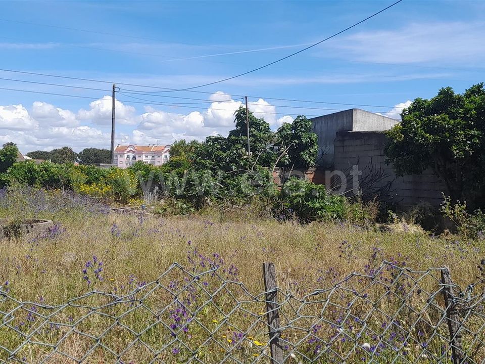 Helårsgrund i Benavente, Santarem - foto 5