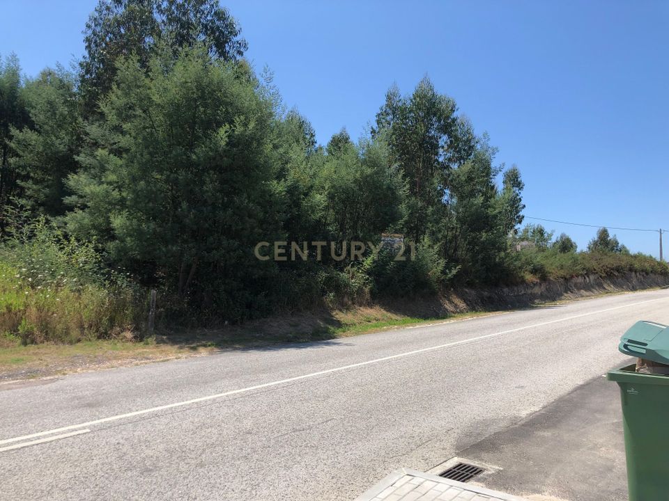 Helårsgrund i Santo Andre, Setubal - foto 3