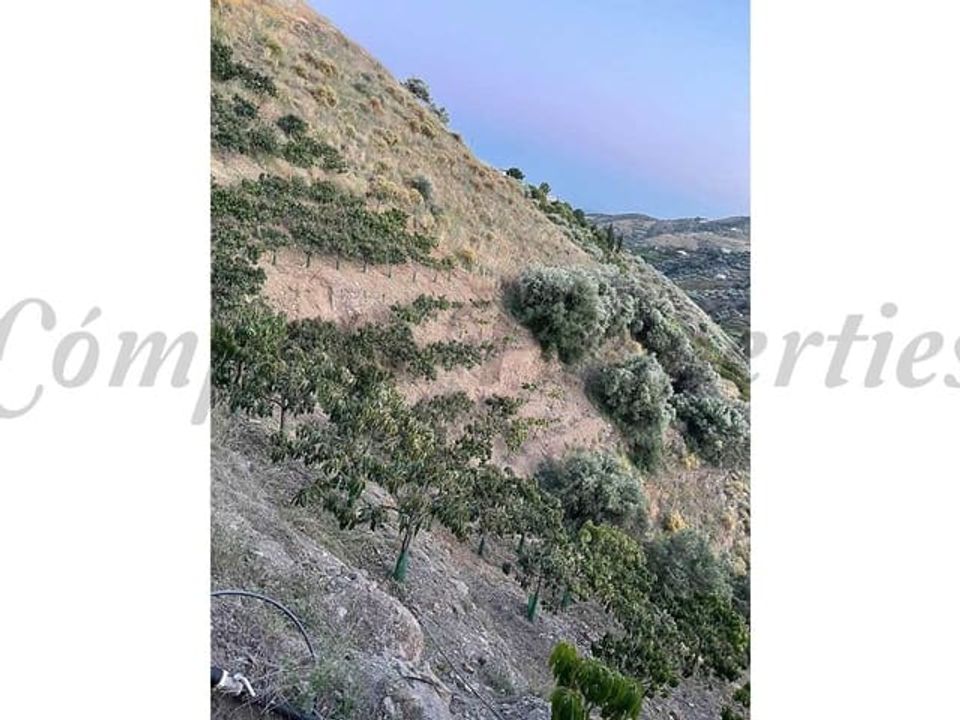 Helårsgrund i Frigiliana, Malaga - foto 1