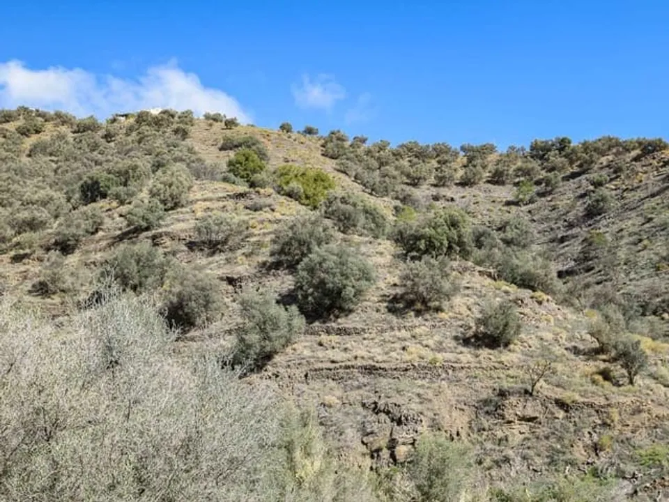 Helårsgrund i Torrox, Malaga - foto 2