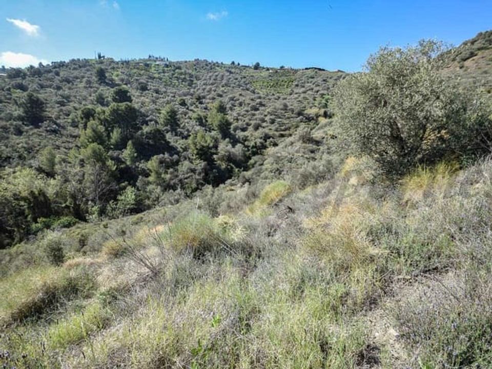 Helårsgrund i Torrox, Malaga - foto 4