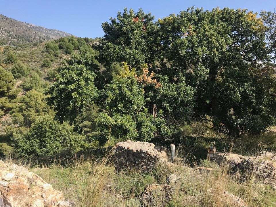 Helårsgrund i Mijas, Malaga - foto 4