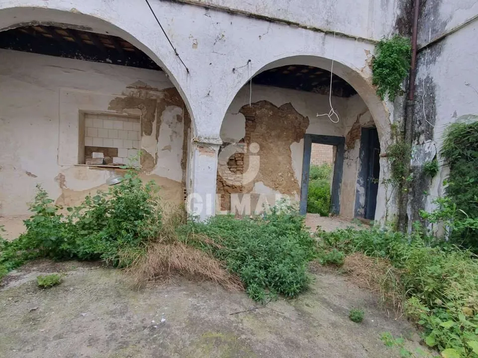Byhus i Benalup-Casas Viejas, Cadiz - foto 3