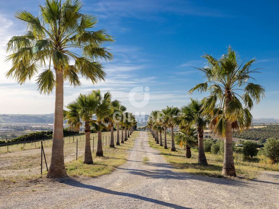 Villa i Arcos De La Frontera, Cadiz - foto 1