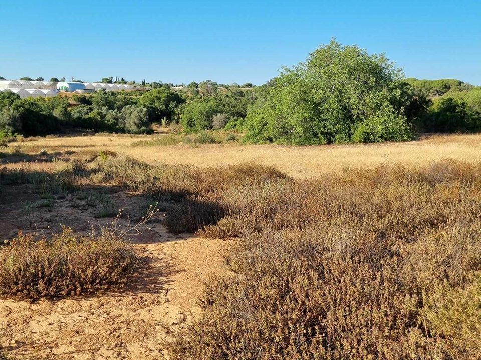 Helårsgrund i Silves, Faro - foto 3