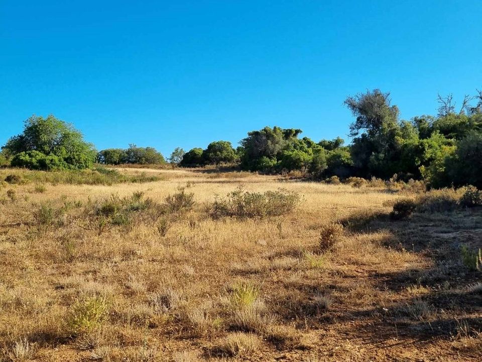 Helårsgrund i Silves, Faro - foto 4