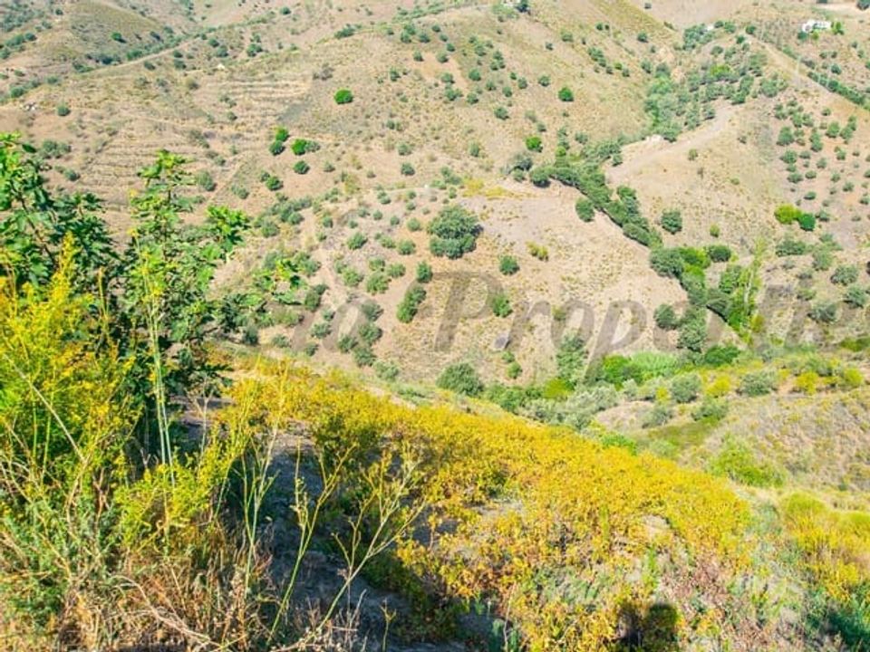 Helårsgrund i Sedella, Malaga - foto 1