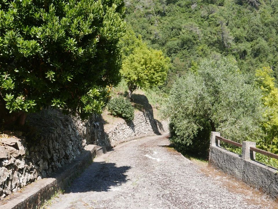 Villa i Dolceacqua, Imperia - foto 3