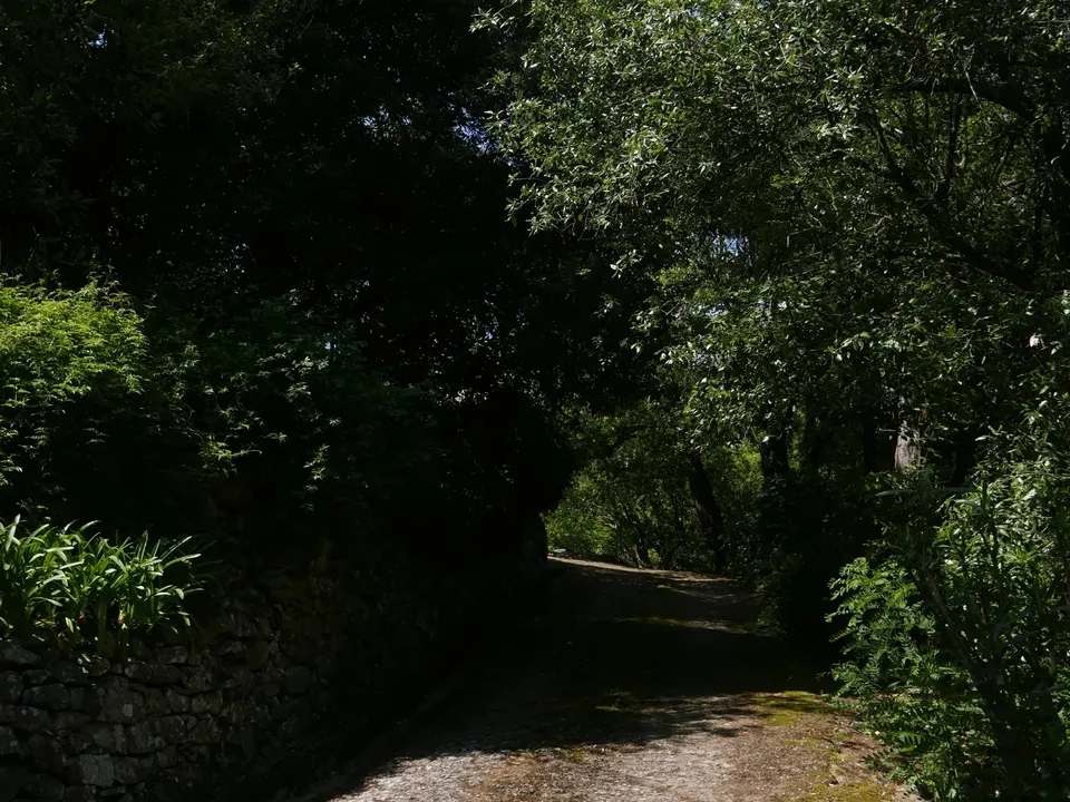 Villa i Dolceacqua, Imperia - foto 5