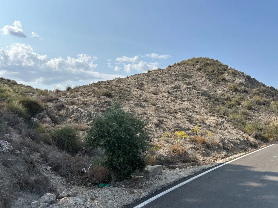 Helårsgrund i Abaran, Murcia - foto 4