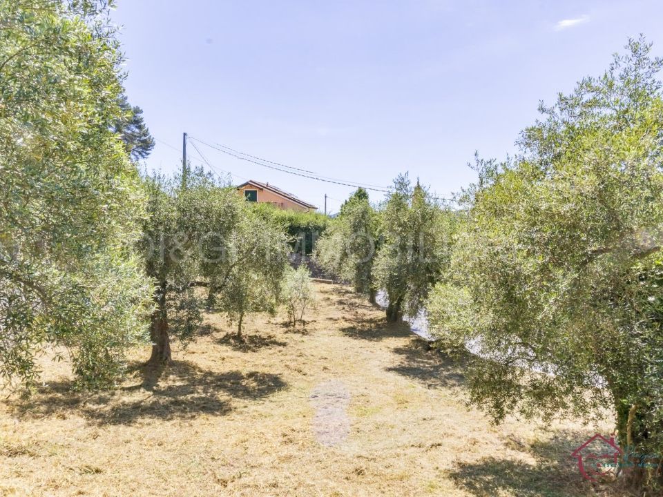 Helårsgrund i Ortovero, Savona - foto 1