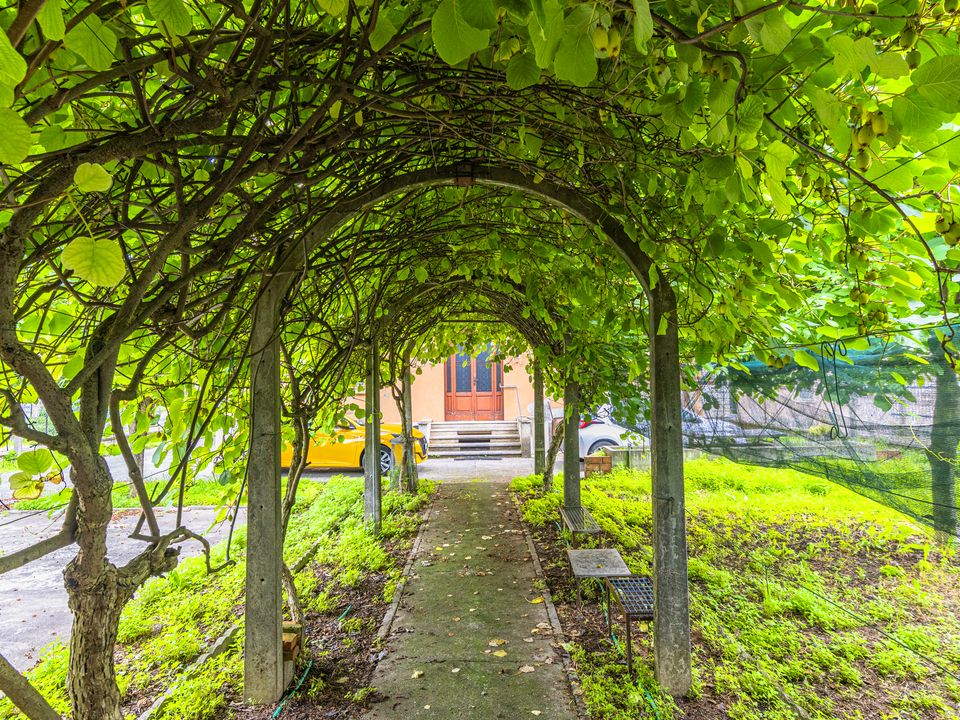 Villa i Bagnolo Mella, Brescia - bilde 5