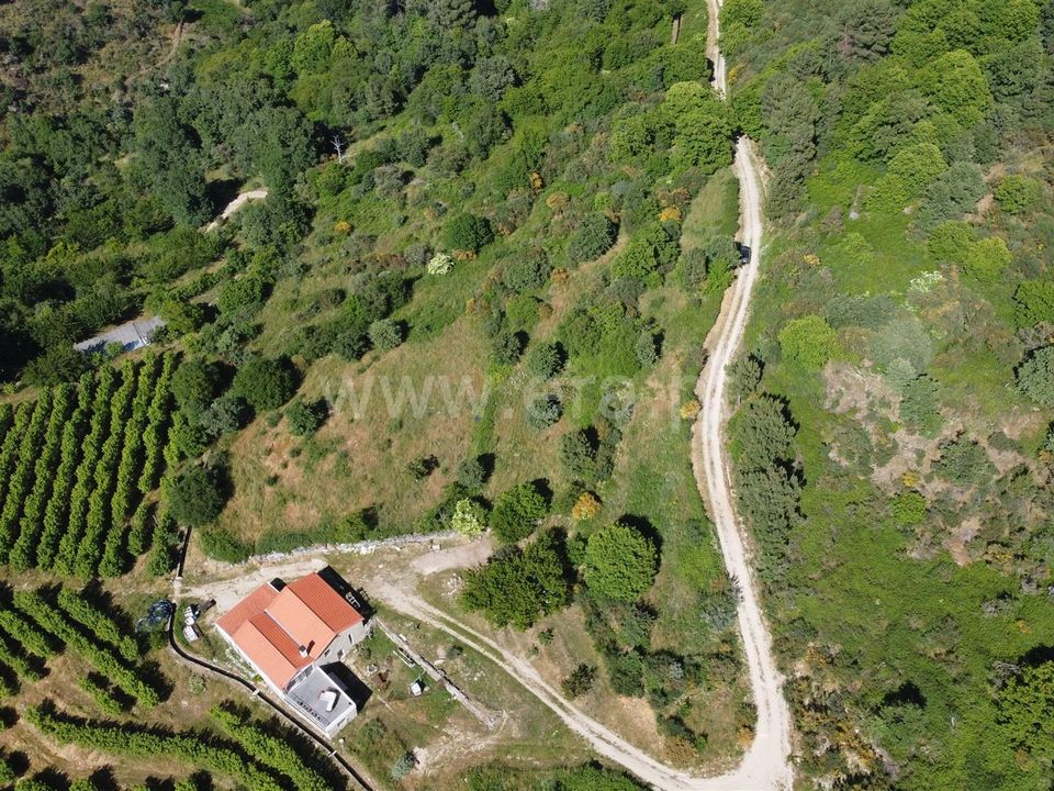 Helårsgrund i Celorico da Beira, Guarda - foto 3