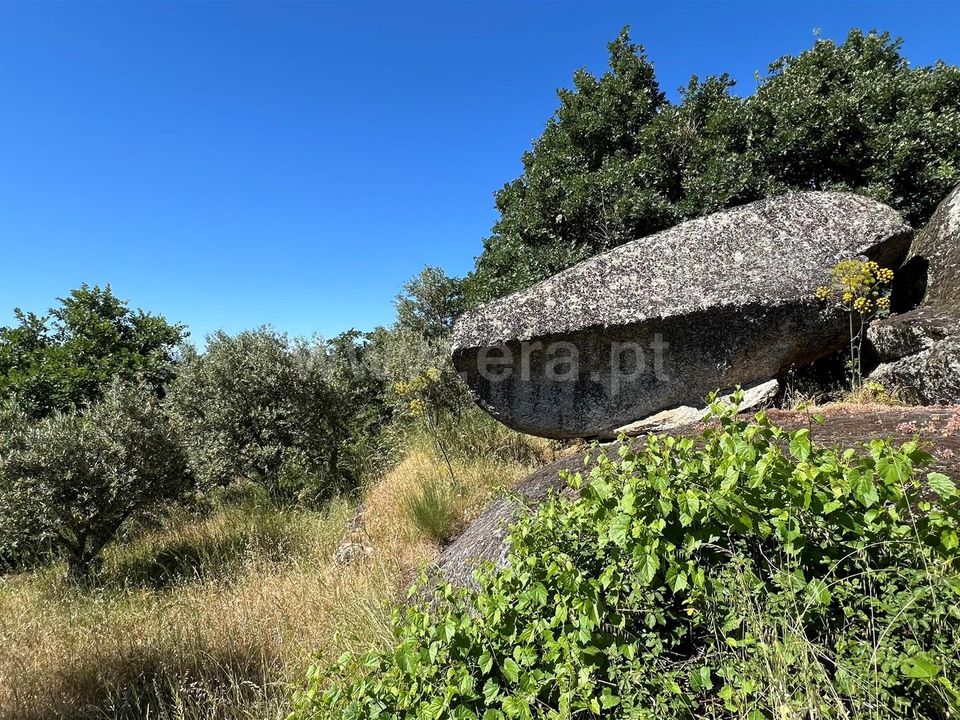 Helårsgrund i Celorico da Beira, Guarda - foto 4