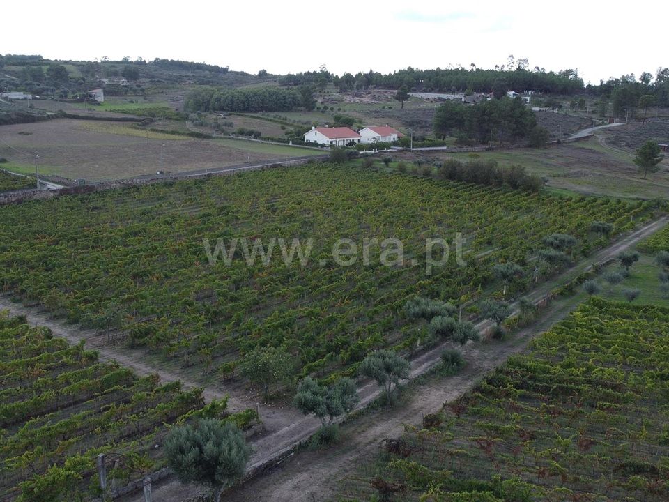 Erhvervsejendom i Gouveia, Guarda - foto 2