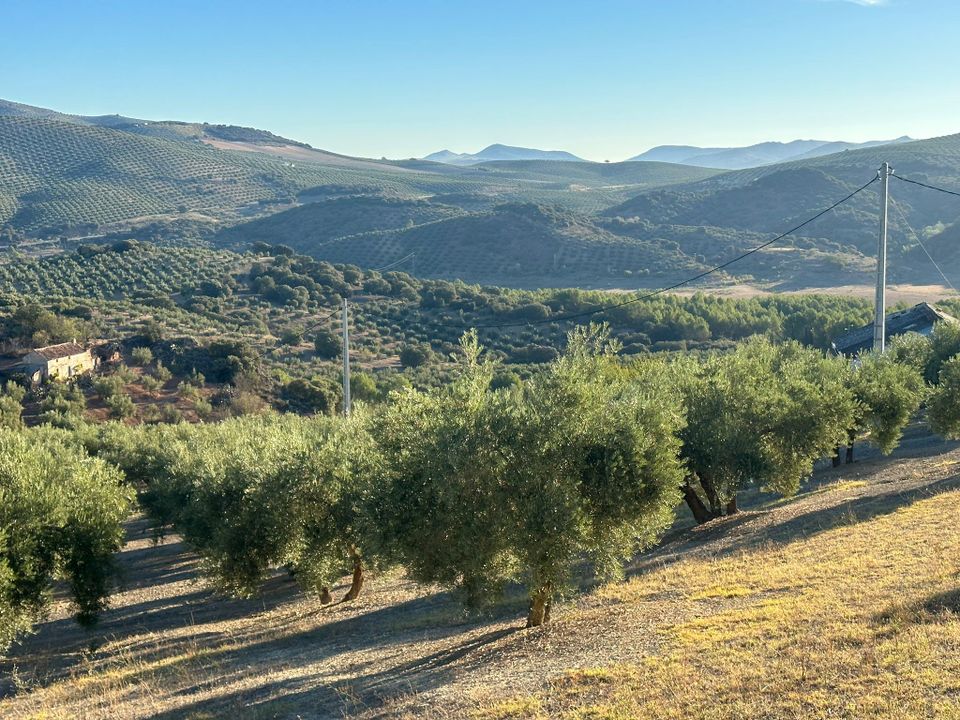 Cortijo i Benalua De Las Villas, Granada - bilde 2
