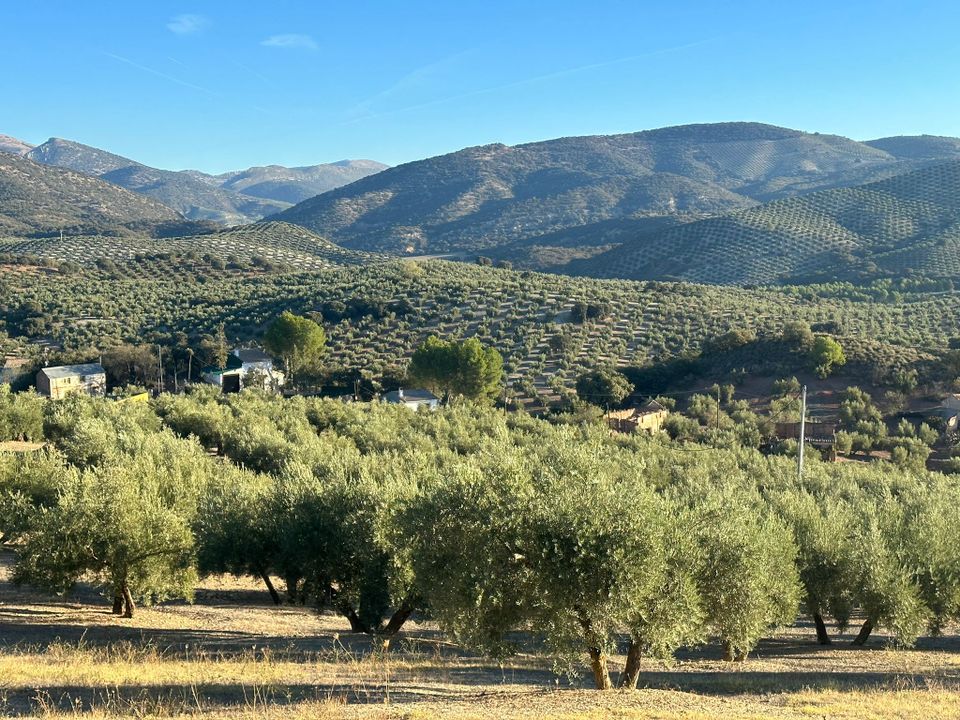 Cortijo i Benalua De Las Villas, Granada - bilde 3