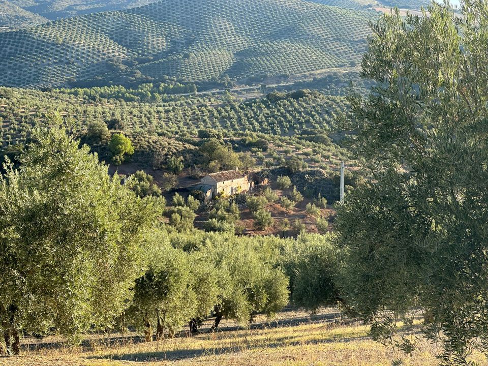 Cortijo i Benalua De Las Villas, Granada - bilde 1
