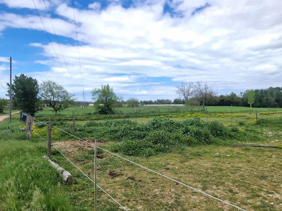 Terra em Collecorvino, Pescara - foto 4