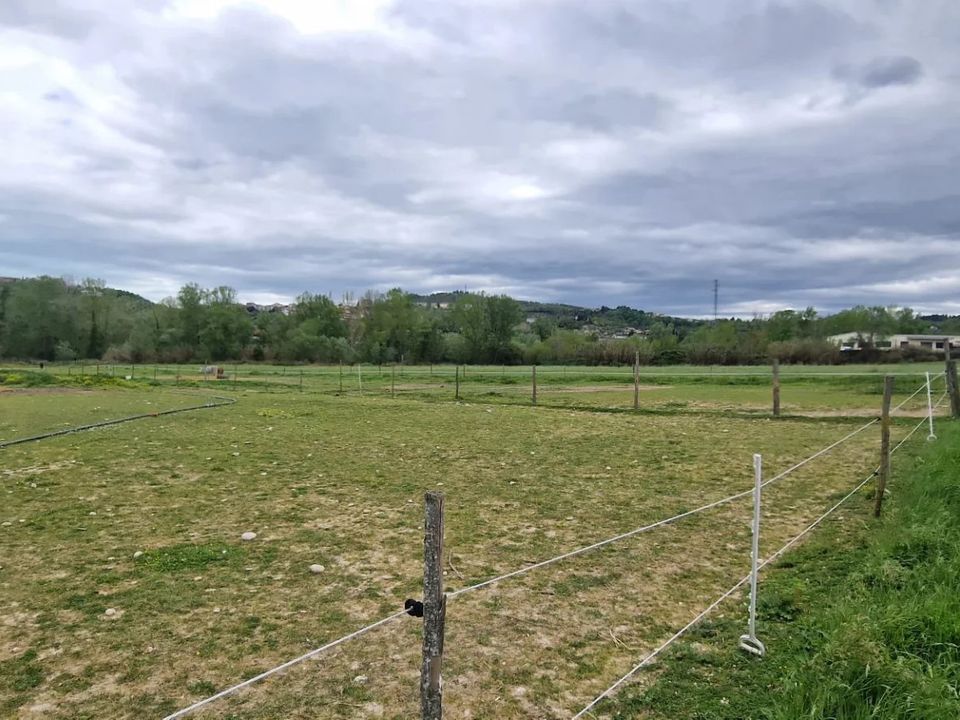 Terra em Collecorvino, Pescara - foto 5