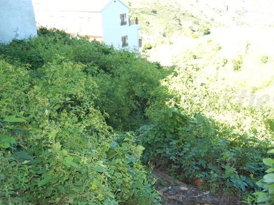 Helårsgrund i Competa, Malaga - foto 3