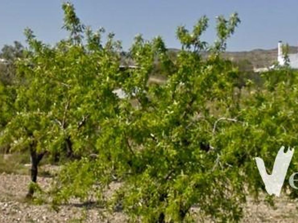 Landejendom i Taberno, Almeria - foto 2