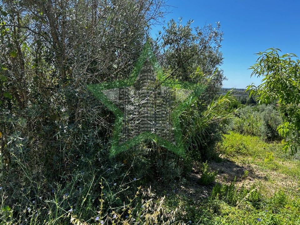 Helårsgrund i Tomar, Santarem - foto 4