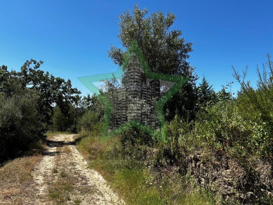 Helårsgrund i Tomar, Santarem - foto 5